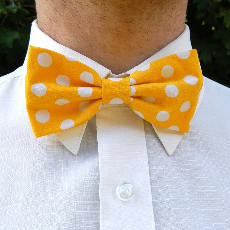 Žlutý puntíkovaný motýlek