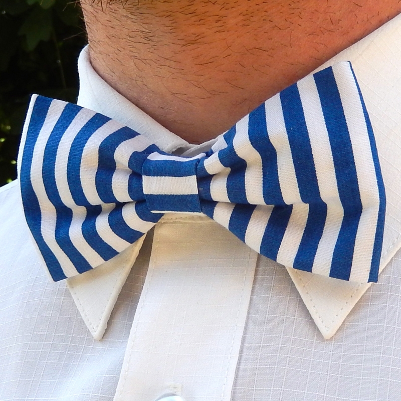 Modrý pruhovaný motýlek