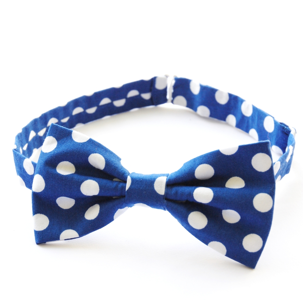 Modrý puntíkovaný motýlek