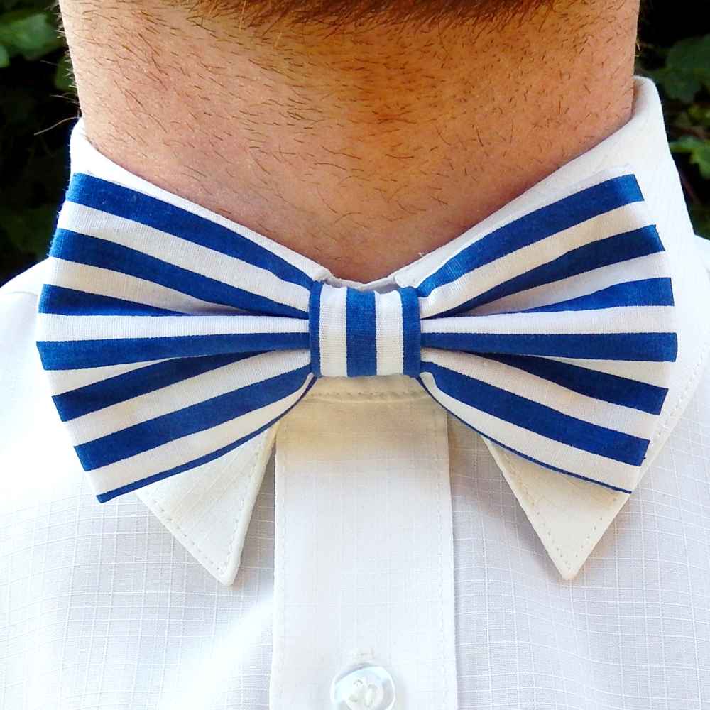 Modrý podélně pruhovaný motýlek