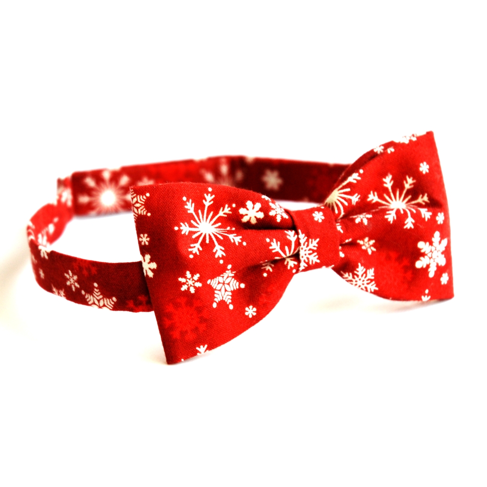 Zimní červený motýlek