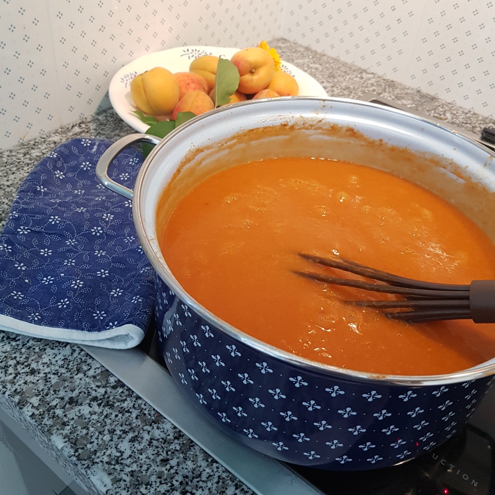 Meruňková marmeláda s vanilkou - střední