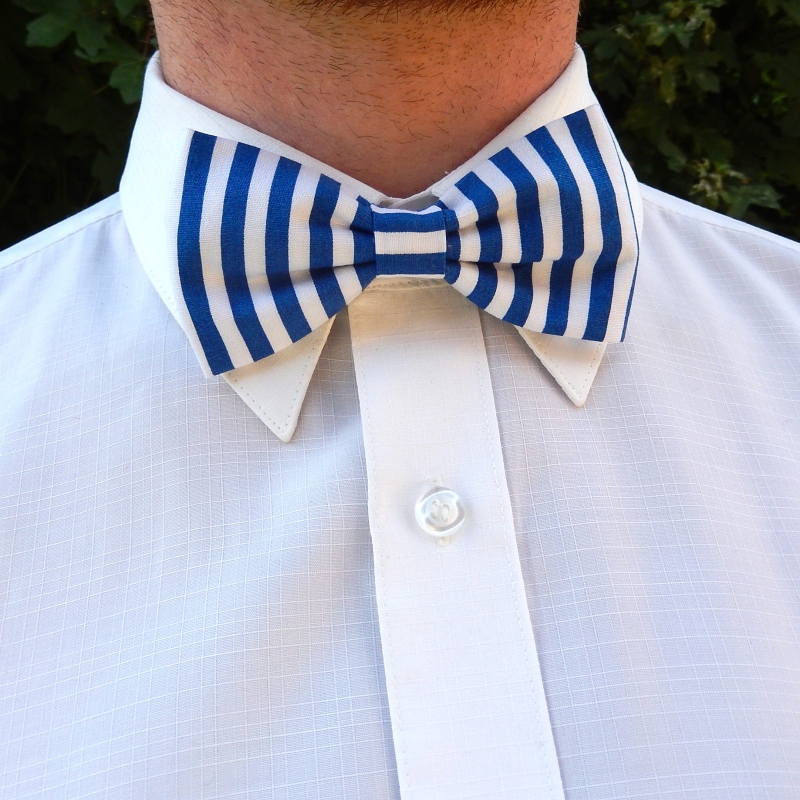 Modrý pruhovaný motýlek