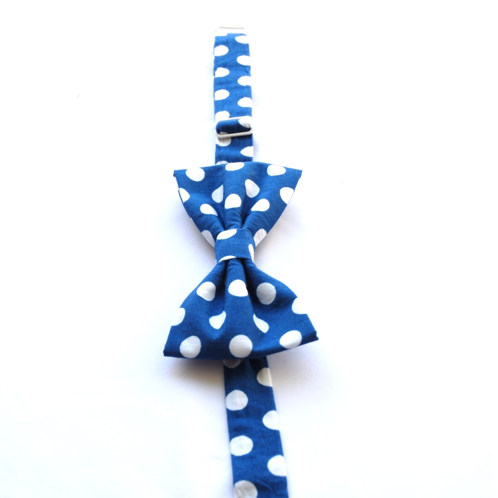 Modrý puntíkovaný motýlek