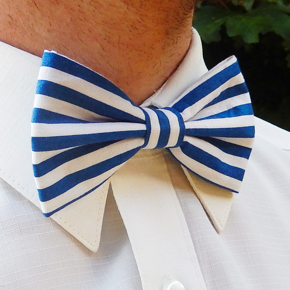 Modrý podélně pruhovaný motýlek