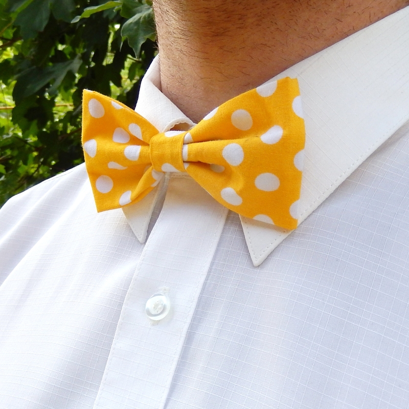 Žlutý puntíkovaný motýlek