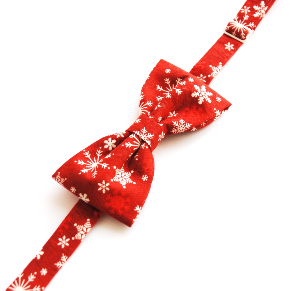 Zimní červený motýlek