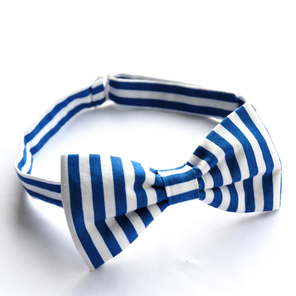 Modrý pruhovaný motýlek