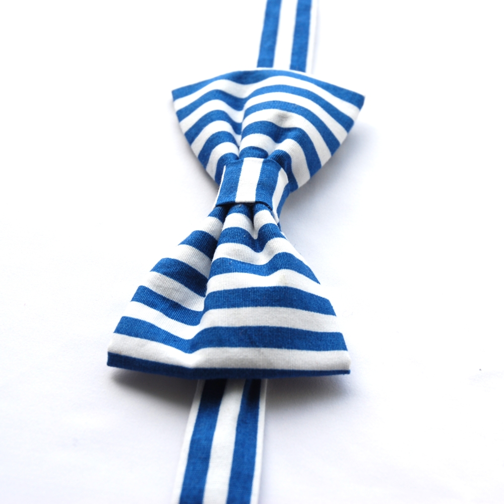 Modrý pruhovaný motýlek