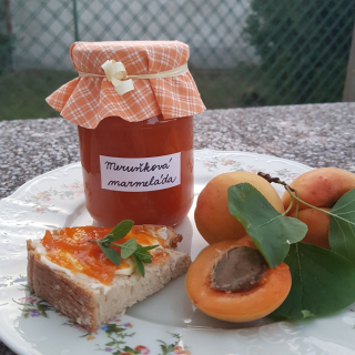 Meruňková marmeláda - střední