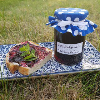 Borůvková marmeláda - malá